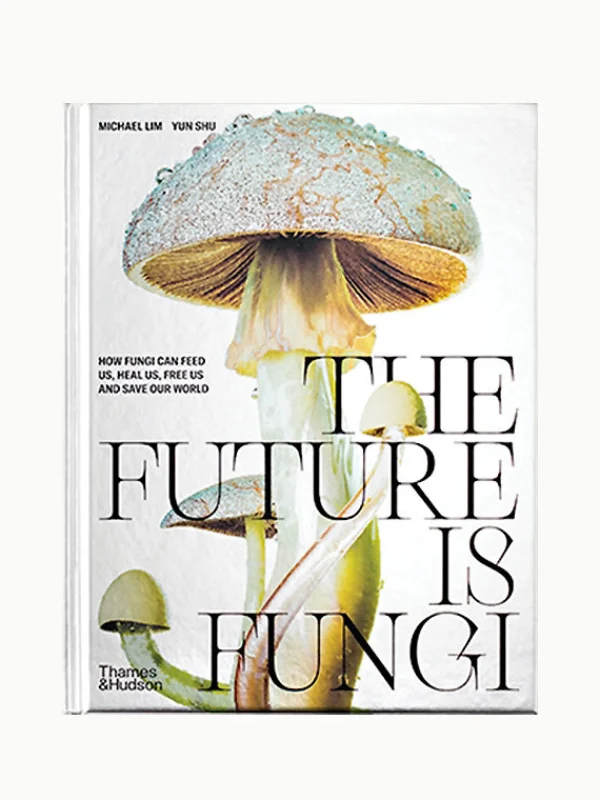 The Oblist Book Stack: Journey into the Heart of Mushrooms | Interiors & Architecture Books | Art Books