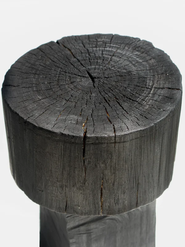 The Oblist Burnt Black Coffee Tables/Stools | Coffee & End Tables | End Tables