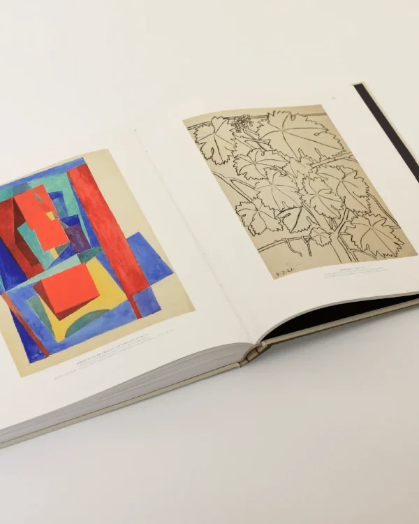 The Oblist Cubist Picasso Book | Interiors & Architecture Books | Art Books