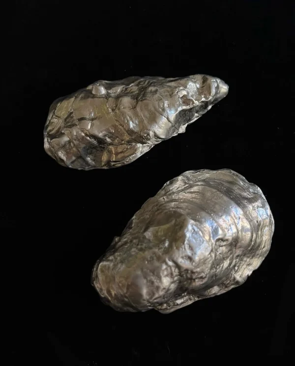 The Oblist Handcrafted Silver Oyster Set | Decorative Dishes | Decorative Dishes