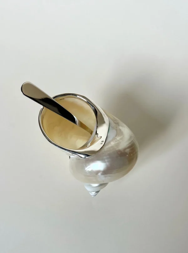 The Oblist Shell Sugar Bowl | Decorative Dishes | Decorative Dishes