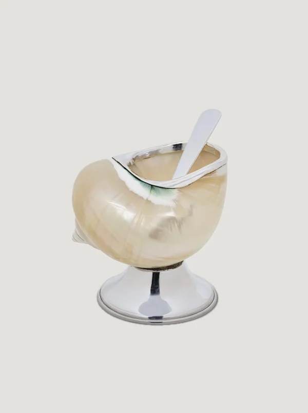 The Oblist Shell Sugar Bowl | Decorative Dishes | Decorative Dishes