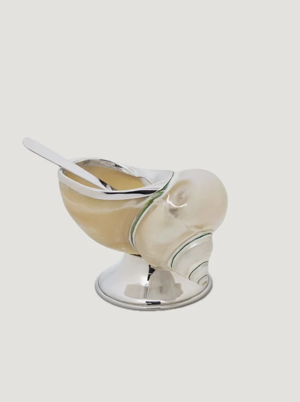 The Oblist Shell Sugar Bowl | Decorative Dishes | Decorative Dishes